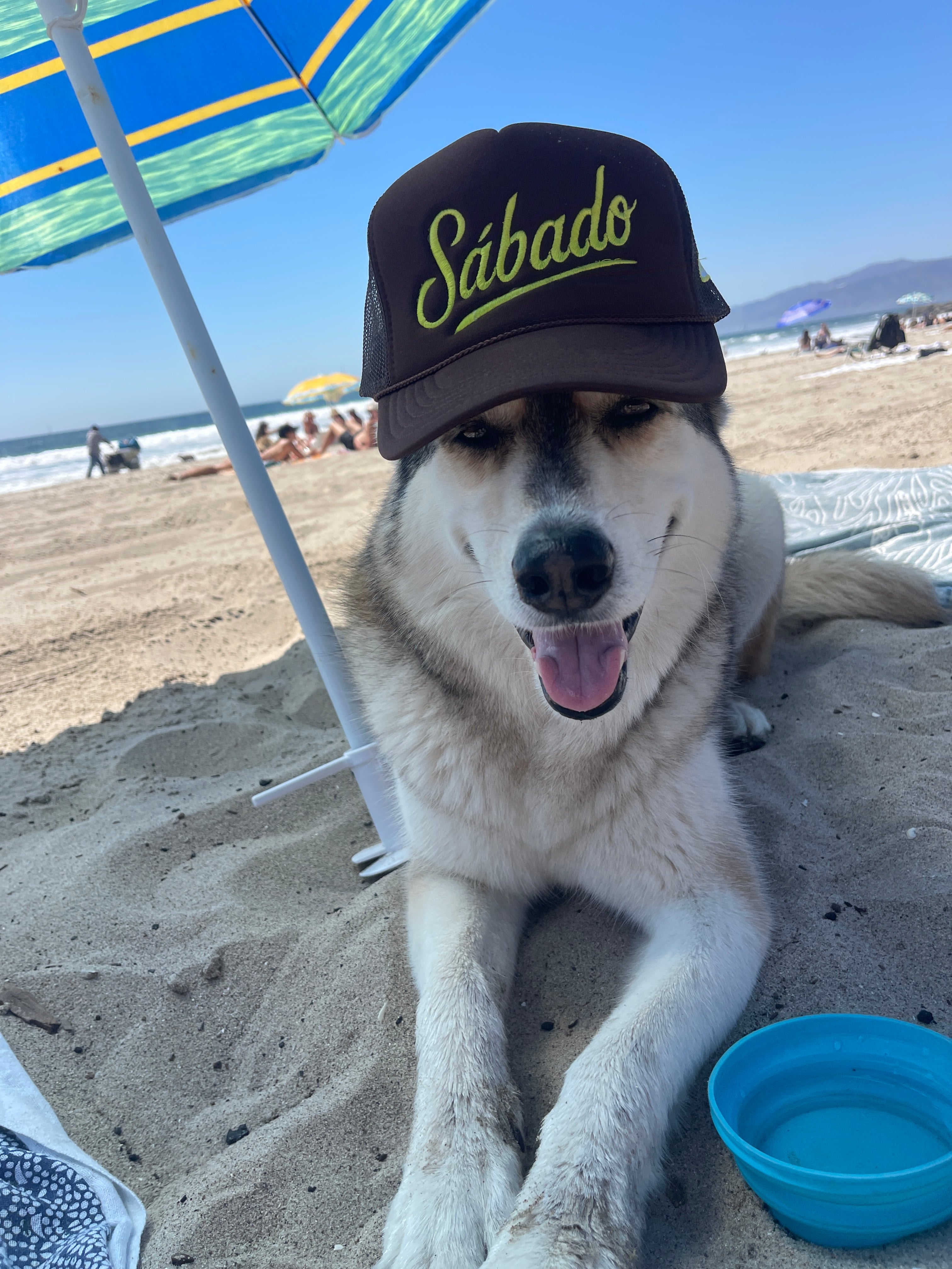 DayHats by Daywatch