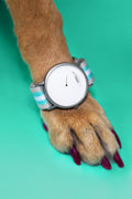 Sunrise Wristwatch with Two Watch Bands