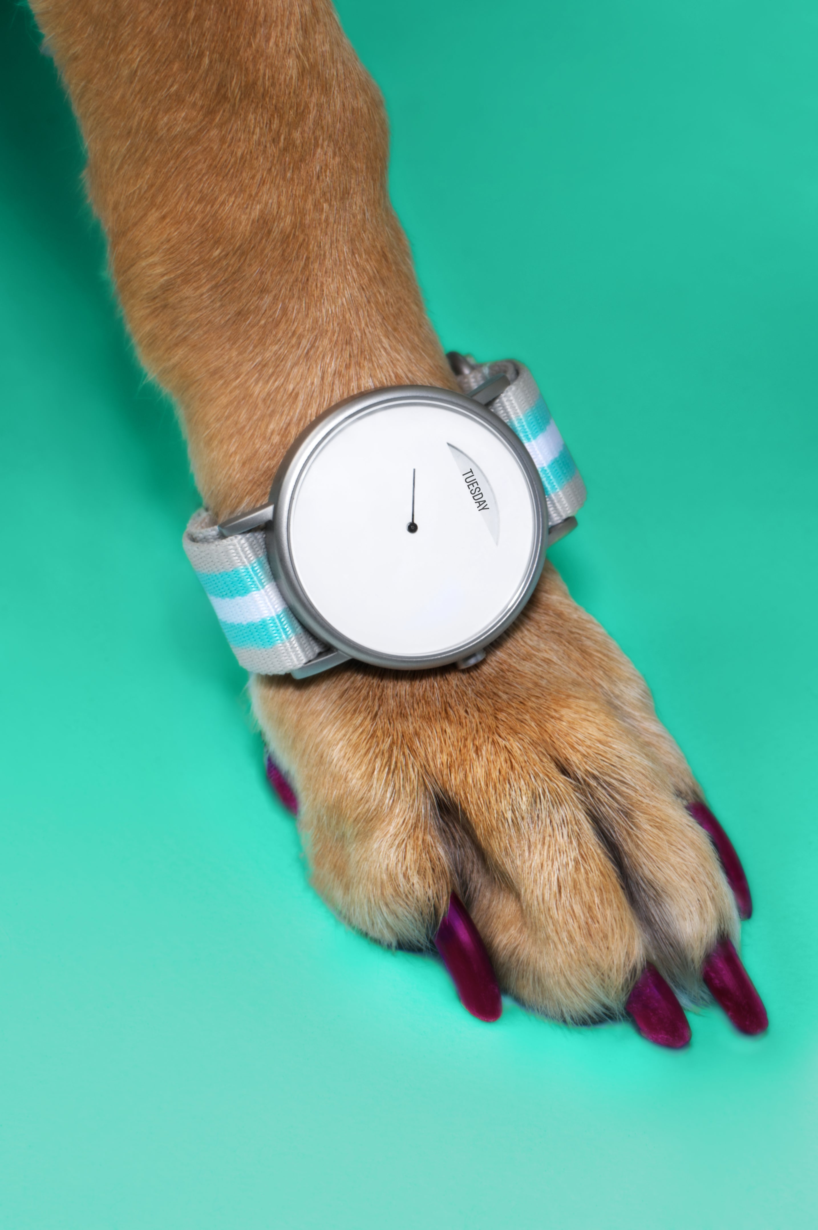 Sunrise Wristwatch with Two Watch Bands